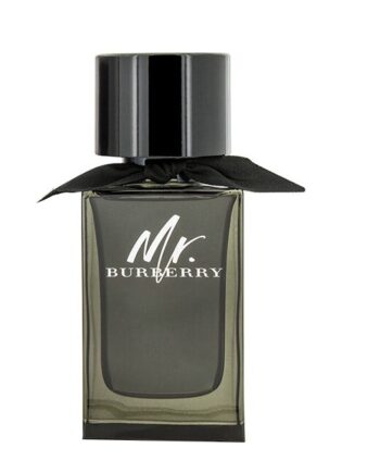 Burberry Mr Burberry Eau De Parfum 100 Ml