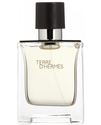 Hermes Terre   Hermes Eau De Toilette 100 Ml