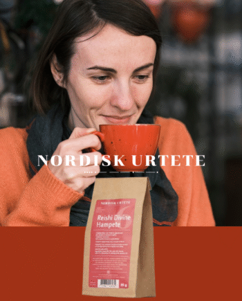 Nordisk Urtete     Reishi Divine Hampete