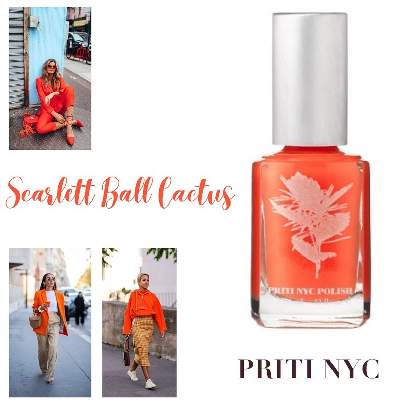 Priti Nyc 425 Scarlett Ball Cactus