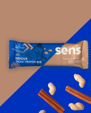 Sens Cricket Protein Bar Peanut Butter   Cinnamon