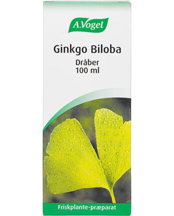 Vogel Ginkgo Biloba