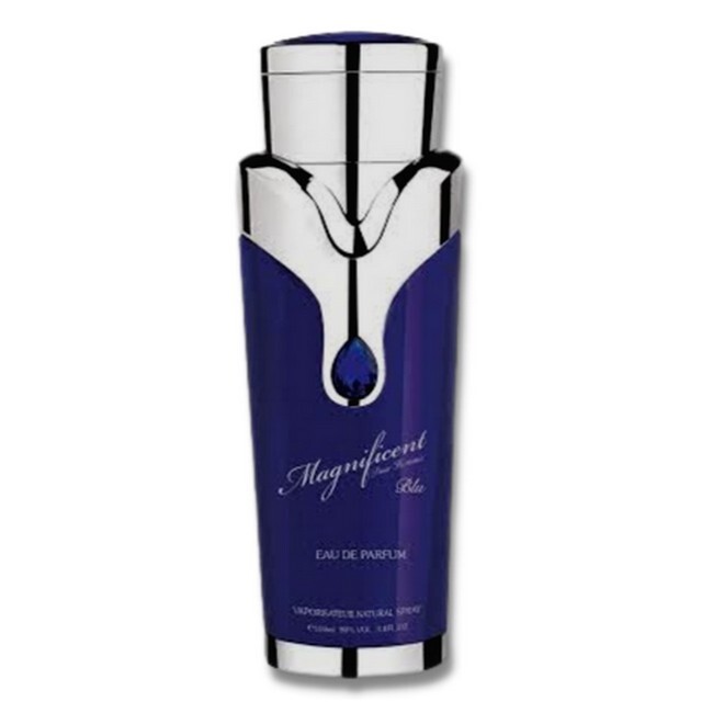 Armaf Magnificent Bleu Pour Homme 100 Ml Edp