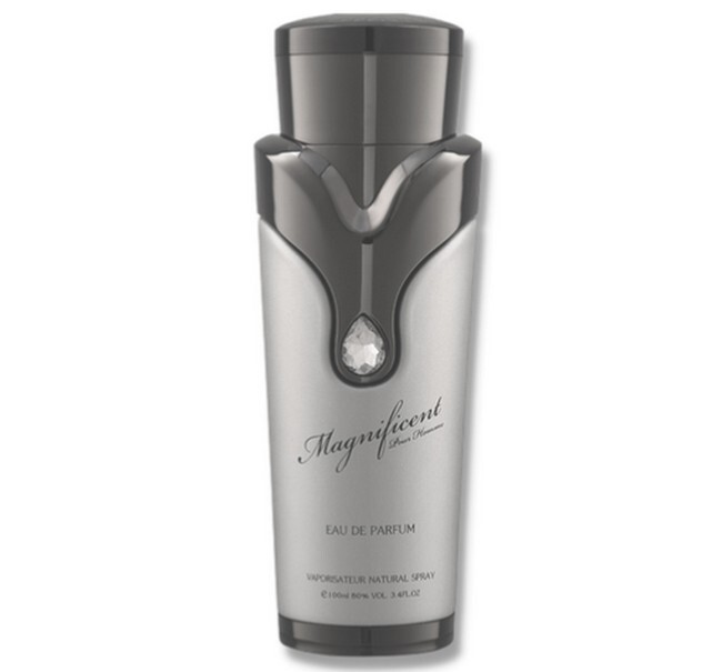 Armaf Magnificent Pour Homme 100 Ml Edp