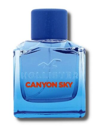 Hollister Canyon Sky For Him 100 Ml Edt