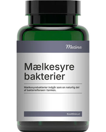 Mezina Mælkesyrebakterier Probiotika