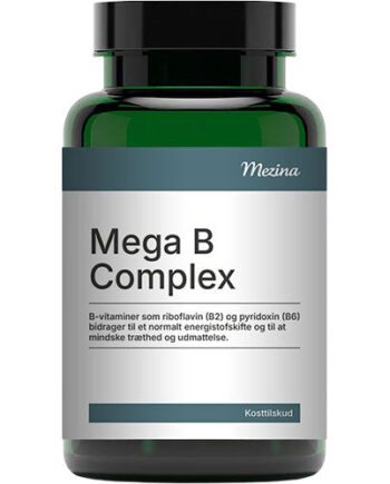 Mezina Mega   Complex