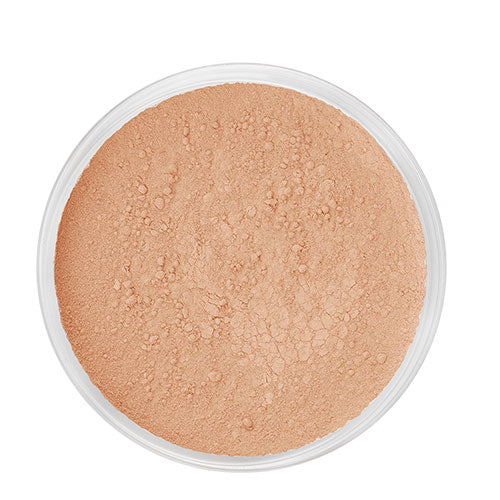 - Veganskidun Minerals Mineral Powder Foundation Inga