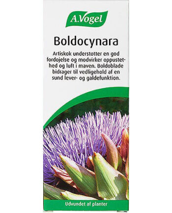 Vogel Boldocynara