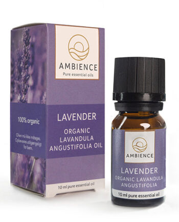 Ambience Lavendel Olie  øko