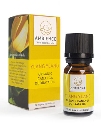 Ambience Ylang Ylang Olie  øko