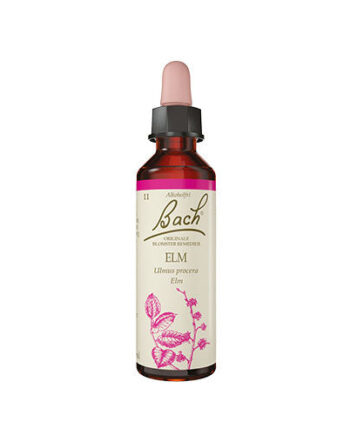 Bach Originale Blomsterremedier Bach Elm