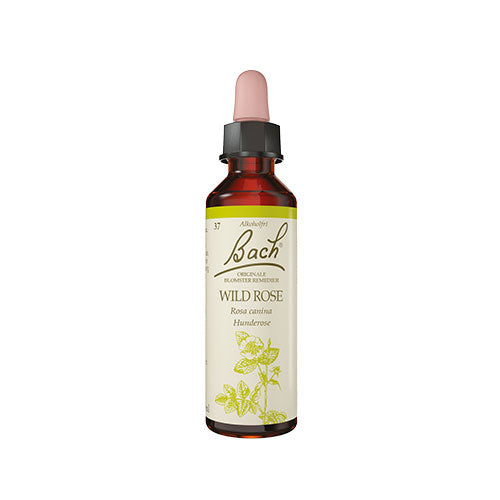 Bach Originale Blomsterremedier Bach Hunderose