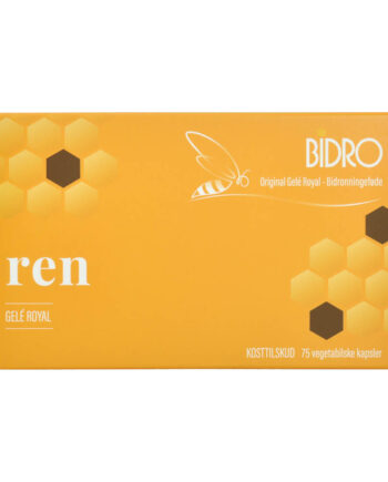 Bidro Ren