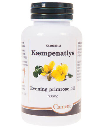 Camette Kæmpenatlysolie