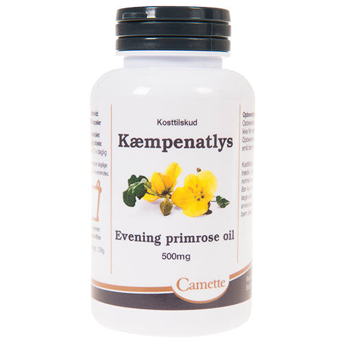 Camette Kæmpenatlysolie