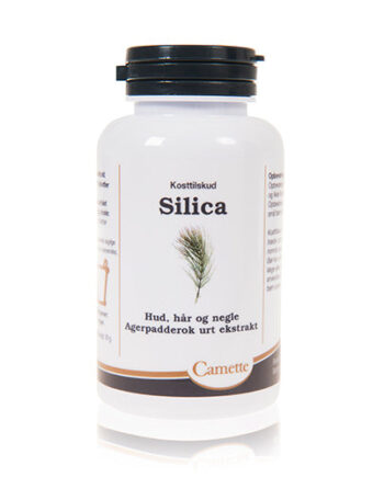 Camette Silica