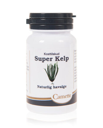 Camette Super Kelp