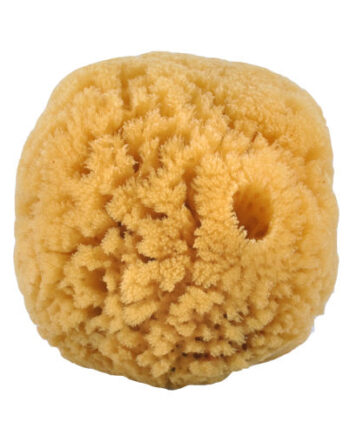 Croll   Denecke Natursvamp 10-12 Cm