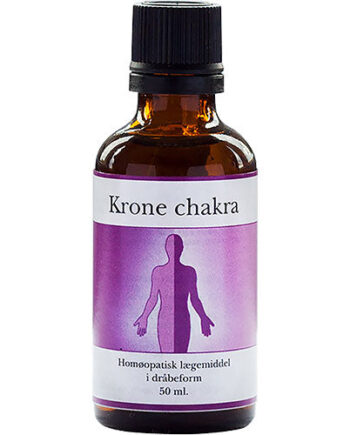 Holistica-medica Krone Chakra