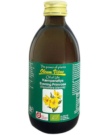 Oil Of Life Kæmpenatlysolie  økologisk