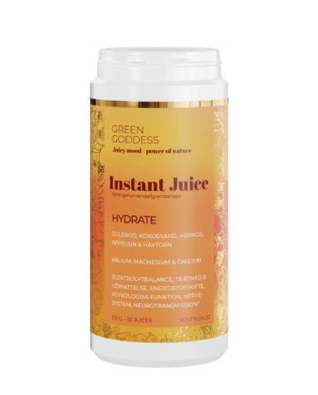 Hydrate Instant Juice  210