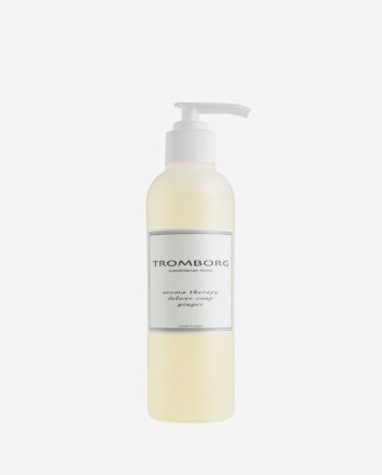 Aroma Therapy Deluxe Soap Ginger