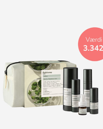 Renew Daily Routine Kit
