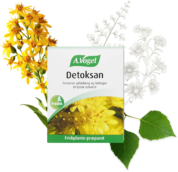Vogel Detoksan 60 Tabletter