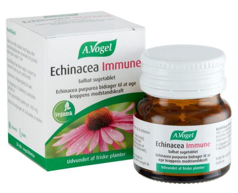 Vogel Echinacea Immune 30tabs
