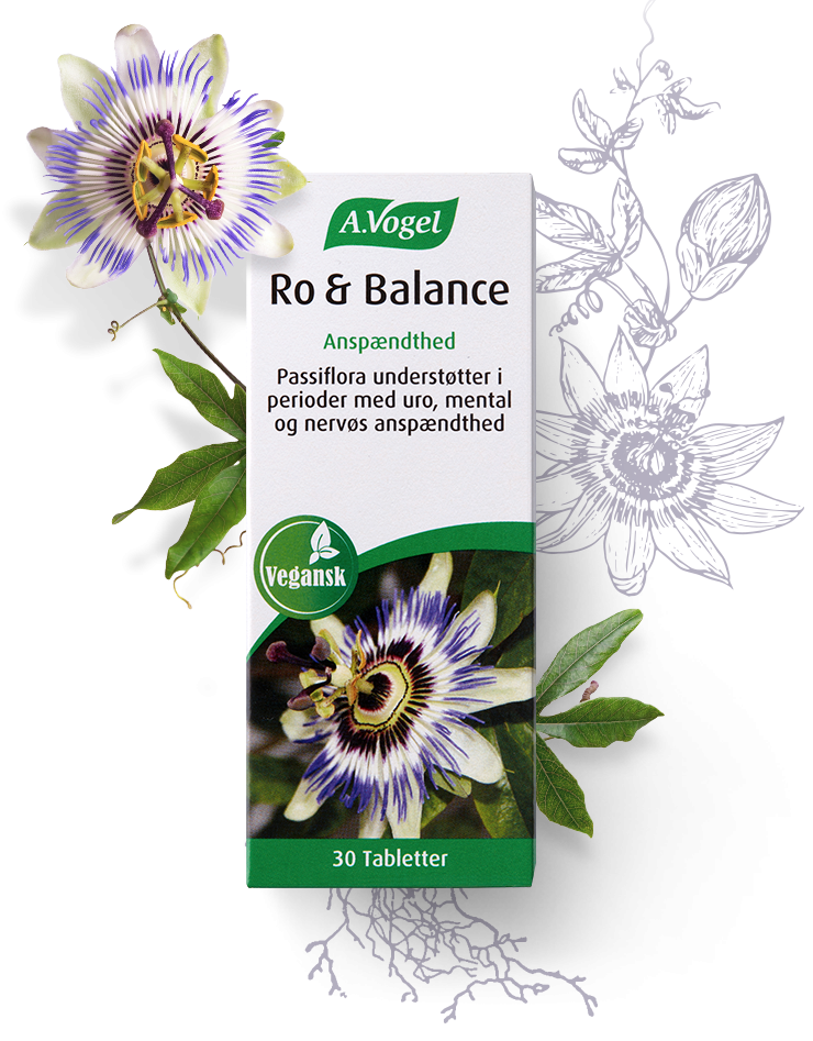 Vogel Ro   Balance 30 Tabl