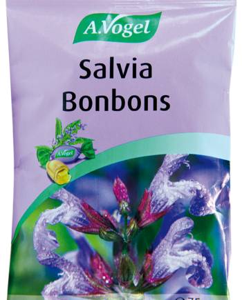 Vogel Salvia Bonbons  75