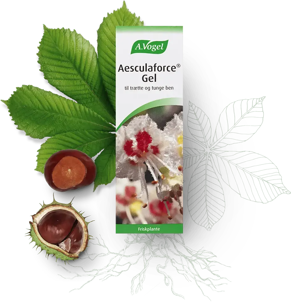 Aesculaforce Gel 100ml