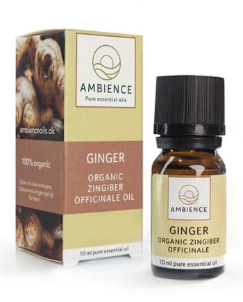 Ambience Ingefær Olie  øko 10 Ml