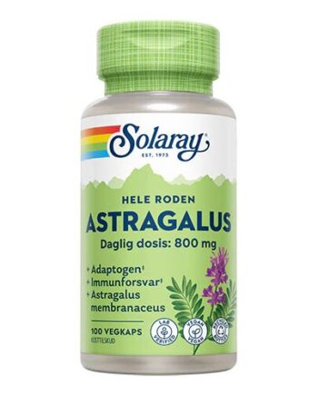Astragalus 100 Kapsler