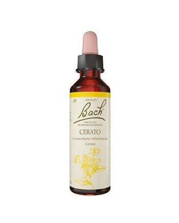 Bach Cerato  10ml