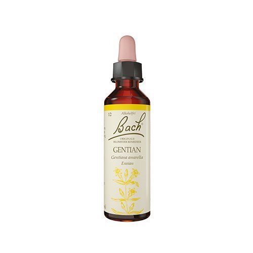 Bach Ensian 10ml