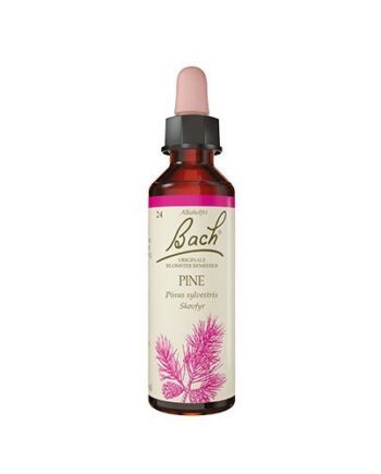 Bach Skovfyr  10ml