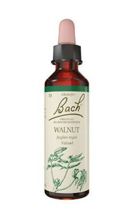 Bach Valnød  10ml