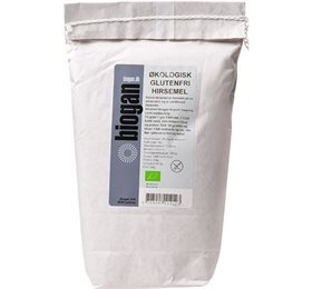Biogan Hirsemel Glutenfri    1kg
