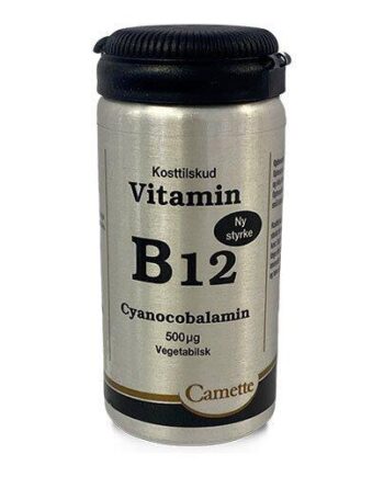Camette B12 Vitamin 500 Mcg Cyanocobalamin  90tab