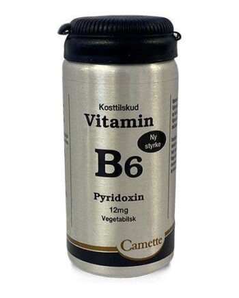 Camette B6 Vitamin Pyridoxin 12mg  90tab