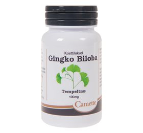 Camette Gingko Biloba 100 Mg 90 Tab