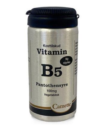 Camette Vitamin B5  90tab