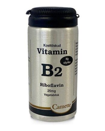 Camette Vitamin B2  90tab