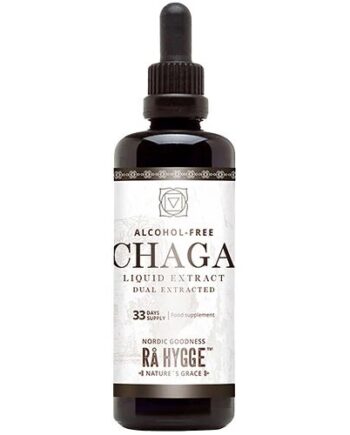 Chaga Concentrated Liquid Extract økologisk 100 Ml