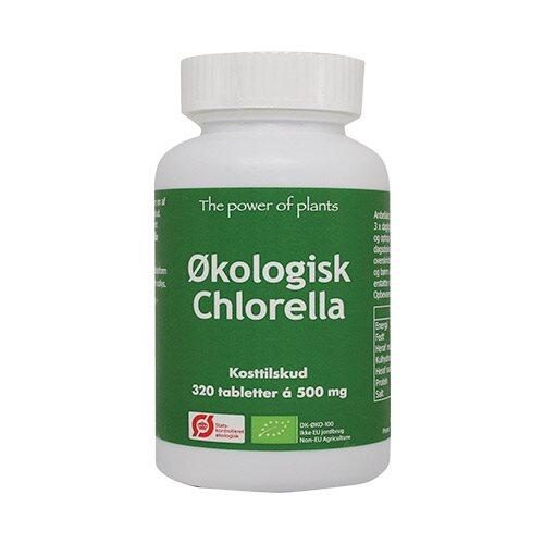 Chlorella    320tab