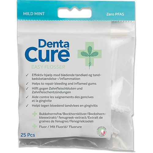 Dentacure Easy Flosser   Pk