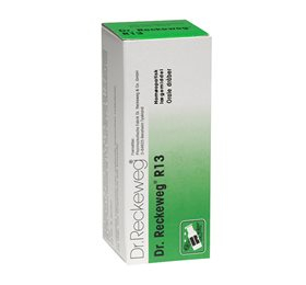 Dr  Reckeweg   13 50 Ml