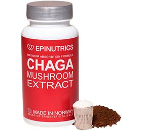 Epinutrics Epi-chaga 60 Kap